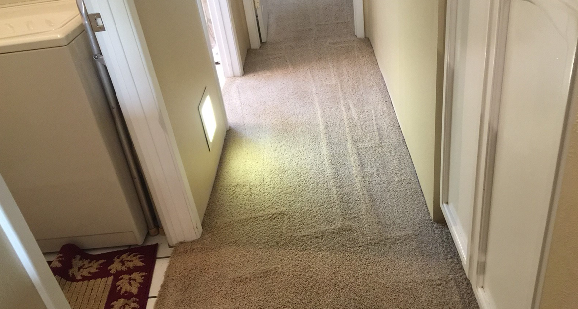 Carpet Repair Louisville Carpet Cleaning Carpet Stretching Carpet