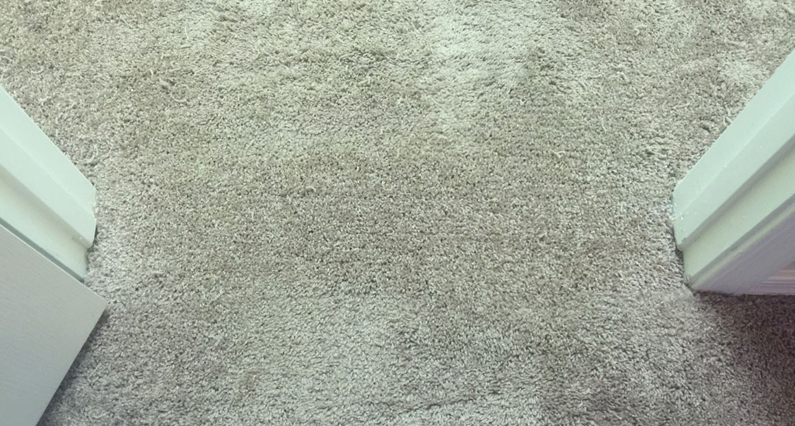 Carpet Repair Louisville Carpet Cleaning Carpet Stretching Carpet