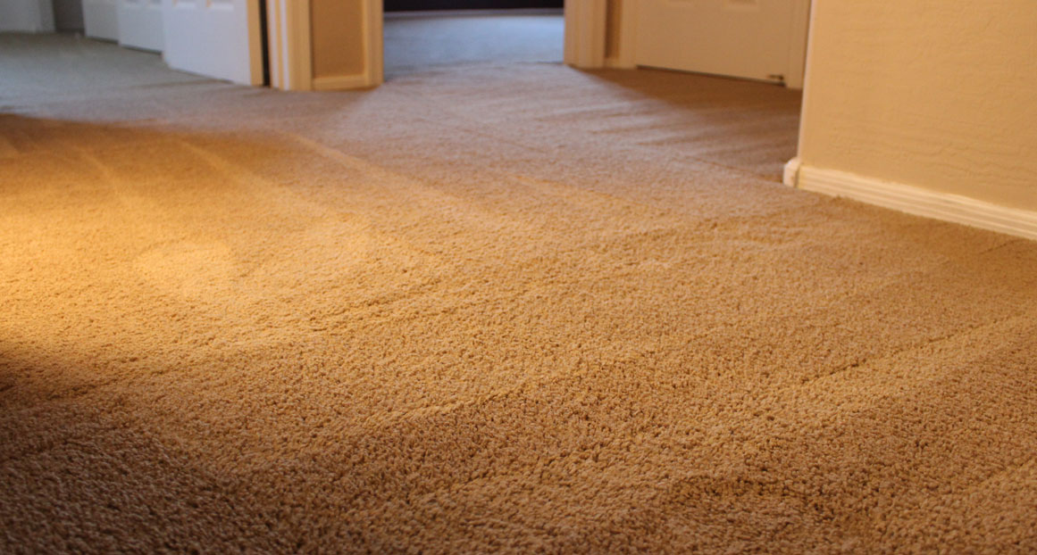 Carpet Repair Louisville Carpet Cleaning Carpet Stretching Carpet